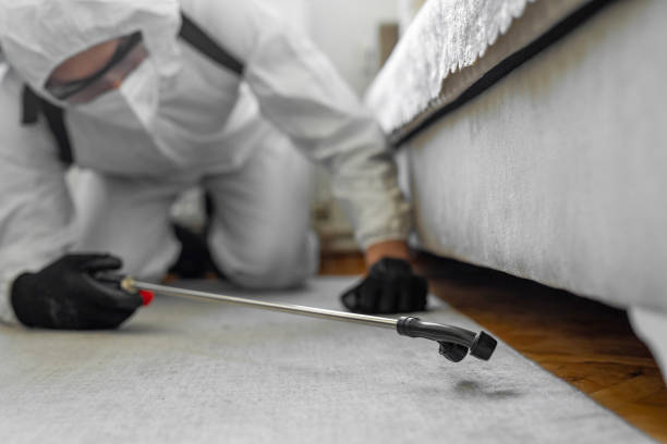 Professional Termite Control technician working in Bennett, CO